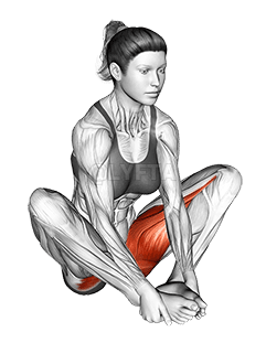 Butterfly Yoga Pose demonstration