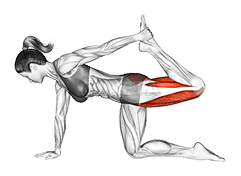 All Fours Squad Stretch demonstration