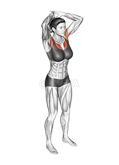 Estiramiento del pecho por encima de la cabeza demonstration