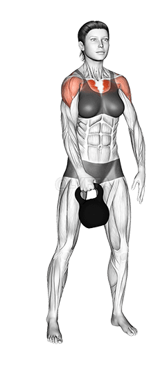 Frondes debout Kettlebell demonstration