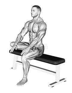 बैठे गोंद खिंचाव demonstration