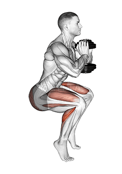 Dumbbell Squat Hold Calf Raise demonstration