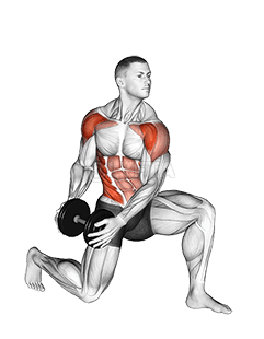 Dumbbell Half Kneeling Lift and Chop demonstration