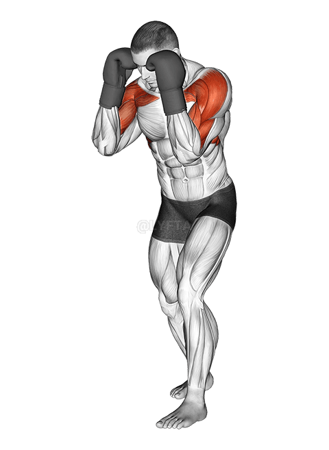 Thumbnail for the video of exercise: Boxing Block