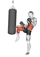 ركلة أمامية كيك بوكسينغ demonstration