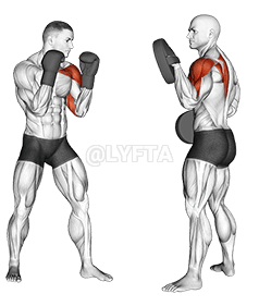 Boxing Jab demonstration