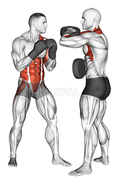 Thumbnail for the video of exercise: Boxing Left Uppercut