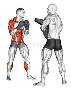 Uppercut dret de boxa demonstration