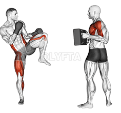 Front Kick Kickboxing demonstration