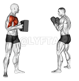 Front Snap Kick Kickboxing demonstration