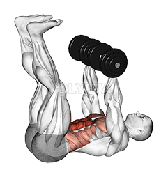 Dumbbell Crunch Up demonstration