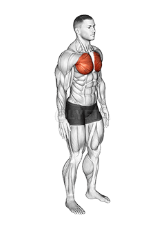 Ellenbogen-Rückendehnung demonstration
