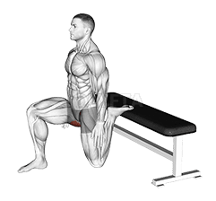 هپ فلڪسر اسٽريچ ريئر پير بلند demonstration