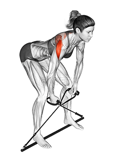 Bar Band Bent Over Rear Delt Fly demonstration