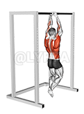 Pull-up Commando demonstration