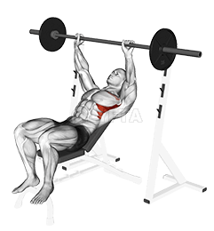 Dvig ramen na naklonu z mreno demonstration