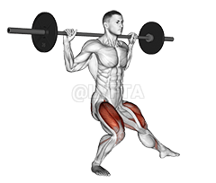 Barbell Side Split Squat demonstration
