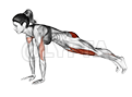Lunge Push-up demonstration