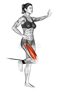 Band standing leg extension demonstration