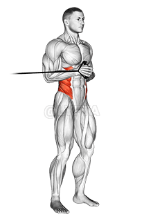 Band horizontal Pallof Press demonstration