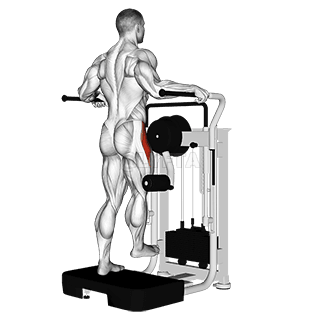 Lever Side Hip Abduction demonstration