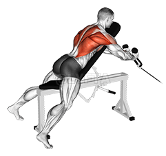 Cable Rope Extension Incline Bench Row demonstration