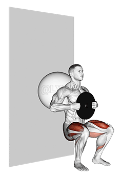 Weighted Exercise Ball Wall Squat demonstration