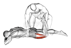 Assisted Prone Lying Quadriceps Stretch demonstration