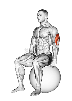 Exercise Ball Seated Triceps Stretch demonstration