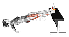 Resistance Band Supine Hip Bridge March demonstration