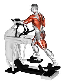 Elliptical Machine Walk demonstration