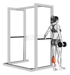 رفع الدمبل بساق واحدة demonstration