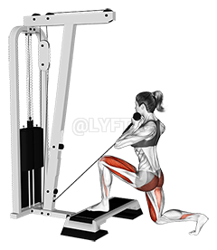 Cable Rear Lunge iz Stepboxa demonstration