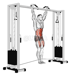 Cable Hanging Leg Raise demonstration