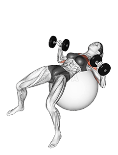 د تمرین بال باندې ډمبیل پریس demonstration