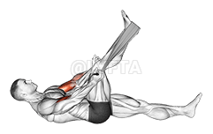 Lying Biceps Curl with Towel demonstration