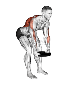 भारित प्लेट पङ्क्तिमा झुक्यो demonstration