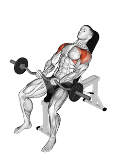 EZ-bar Incline Front Raise demonstration