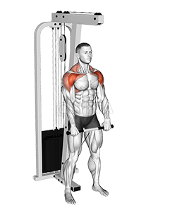 Cable Standing Front Raise Variation demonstration