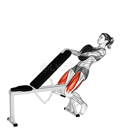 Weighted Sissy Squat demonstration