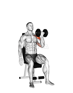 Dumbbell ተቀምጦ አንድ ክንድ አርኖልድ ፕሬስ demonstration