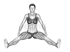 सिटेड वाइड एंगल पोज अनुक्रम demonstration