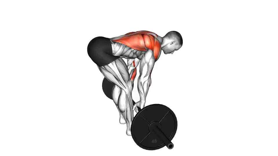 Thumbnail for the video of exercise: Bent Over Row