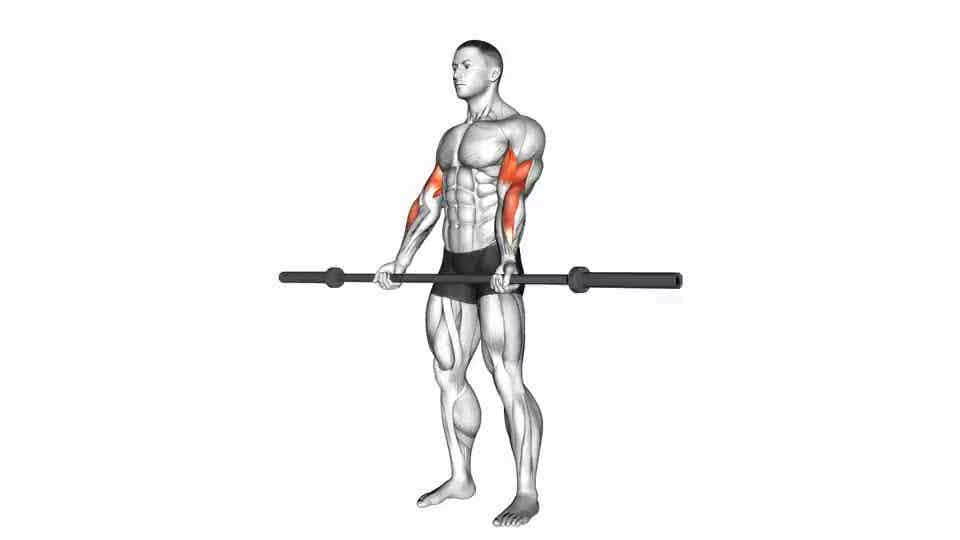 Thumbnail for the video of exercise: Barbell Curl