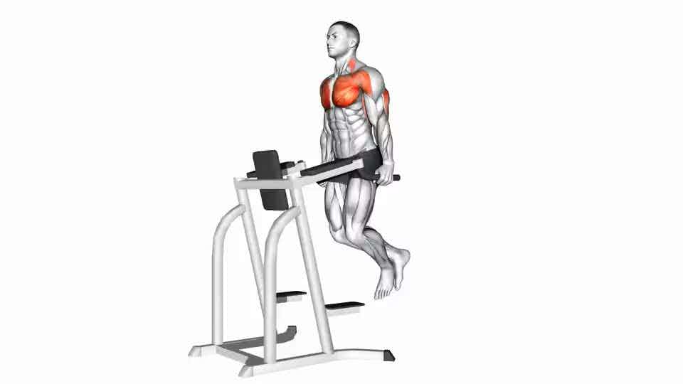 Thumbnail for the video of exercise: Chest Dip