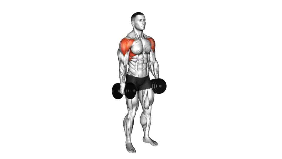Thumbnail for the video of exercise: Lateral Raise