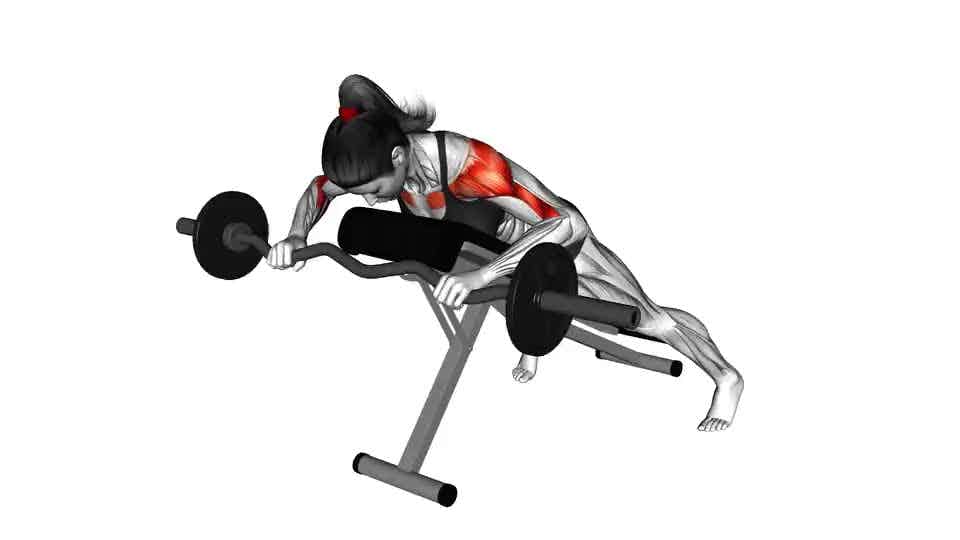 Incline anti-gravity shoulder press, Exercise Videos & Guides