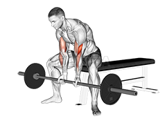 Seated Close-grip Concentration Curl