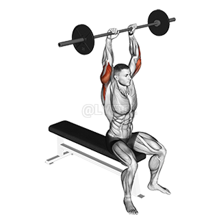 Seated Overhead Triceps Extension