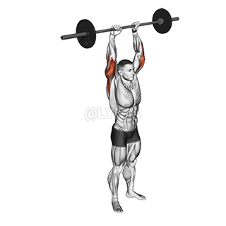 Standing Overhead Triceps Extension